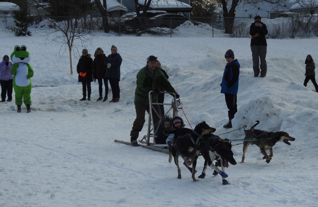 WinterKids Competition Brings Sled Dogs to Mallett School