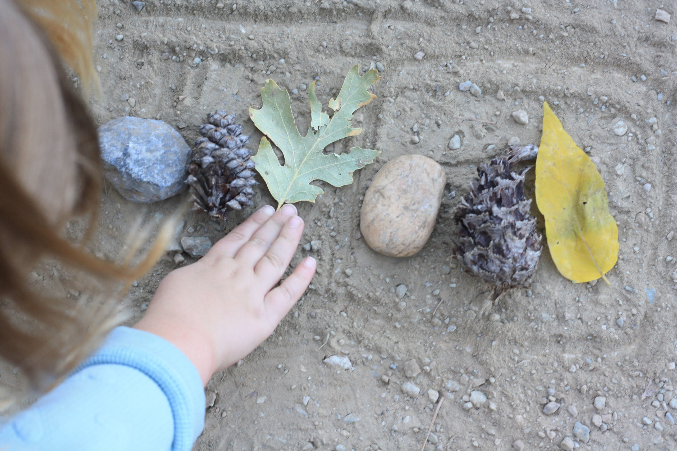 Collecting Nature Items 11 WinterKids Nature Patterns