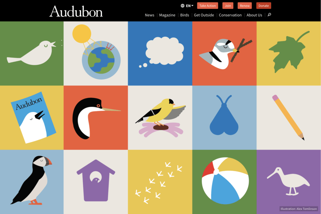 Audubon for Kids