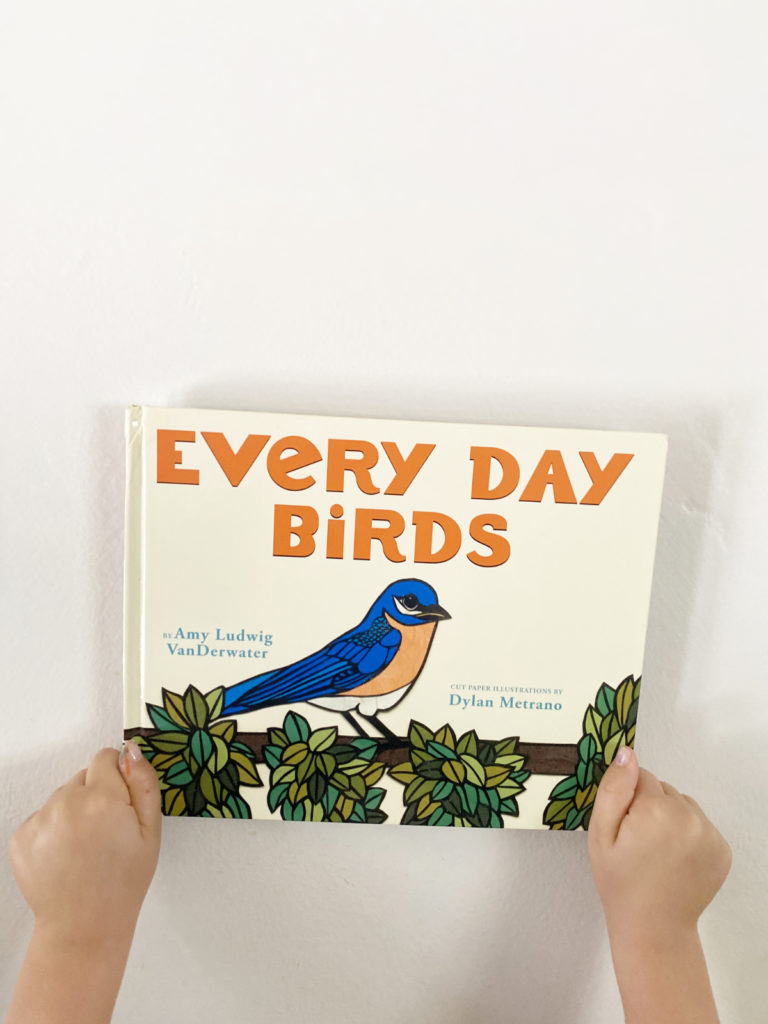 BIRDS for Preschool and Early Elementary WinterKids Blog13
