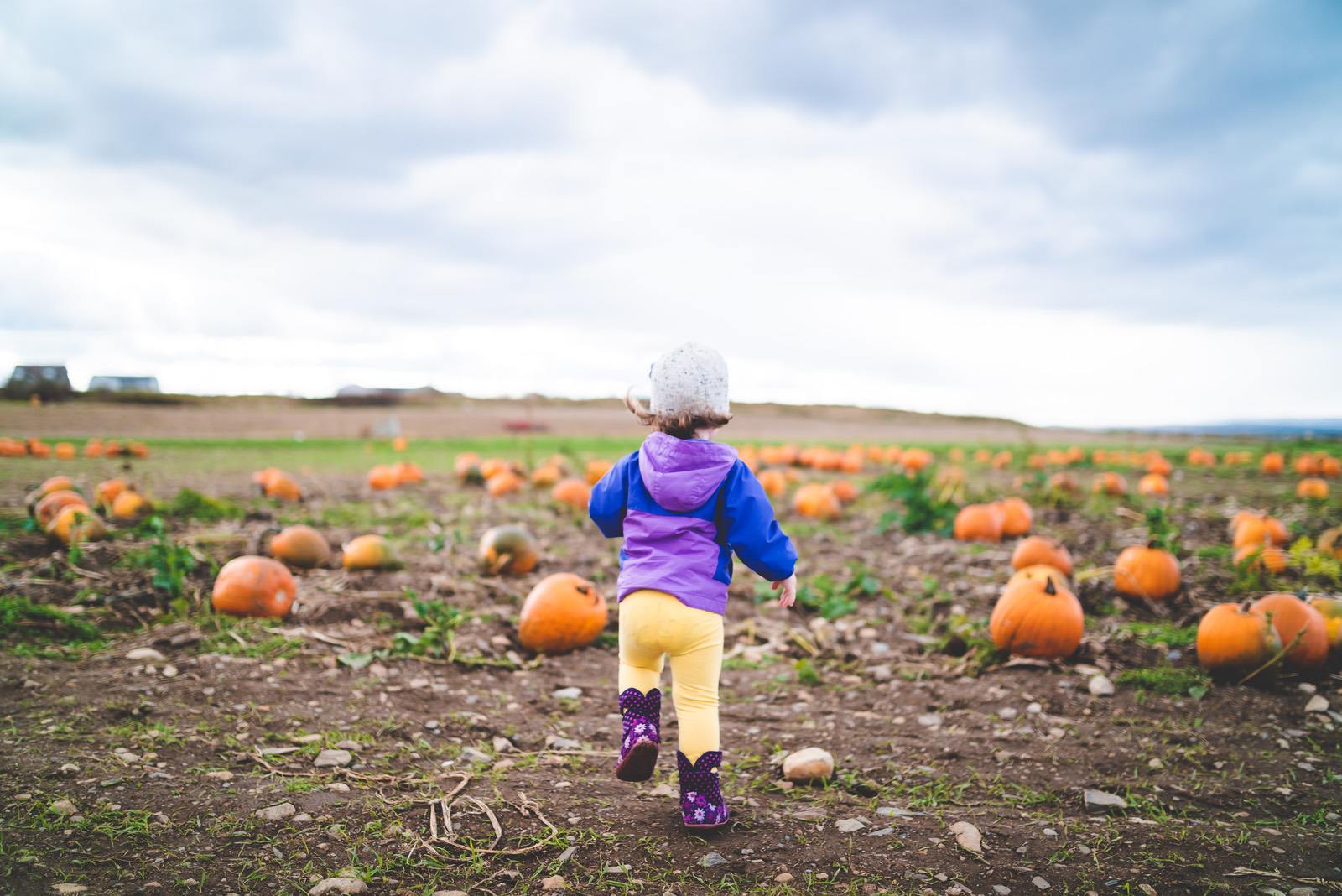 Outdoor Learning Activities that Celebrate Fall WinterKids1