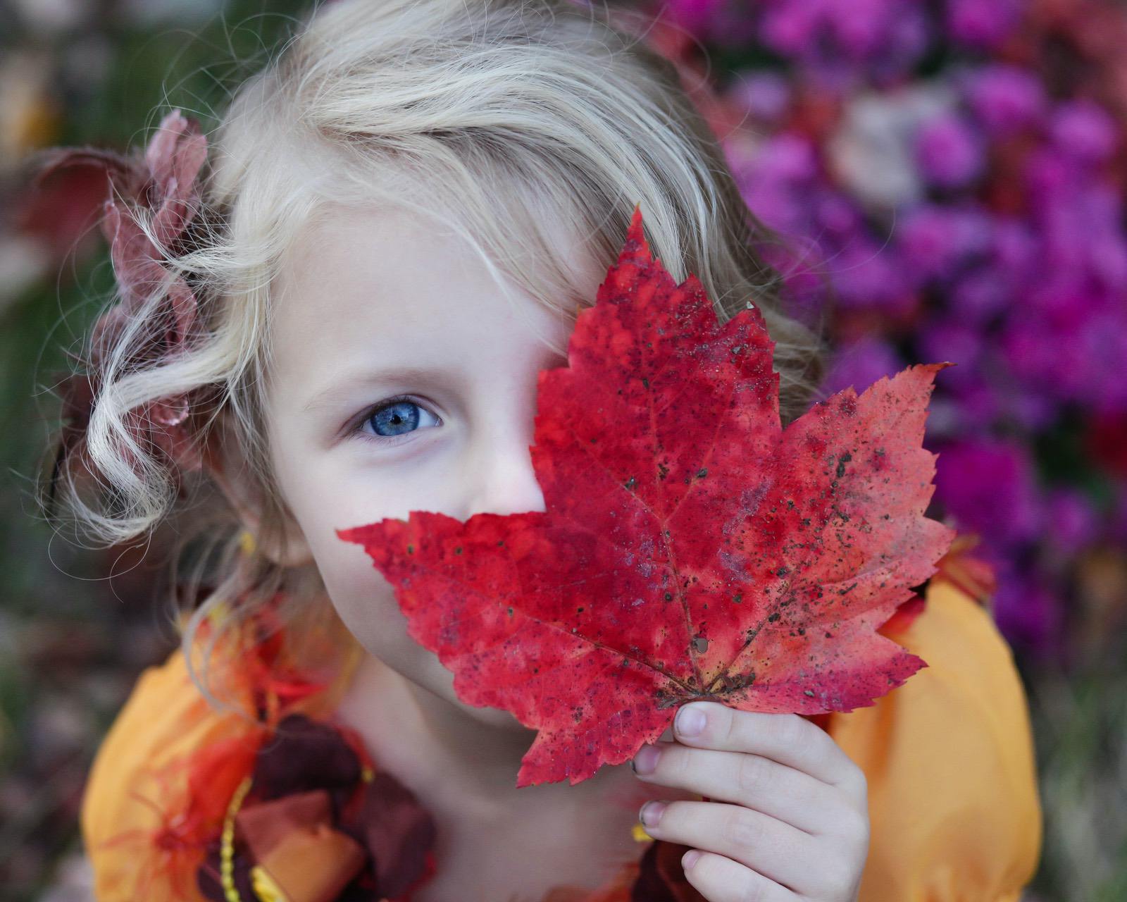 Outdoor Learning Activities that Celebrate Fall WinterKids2