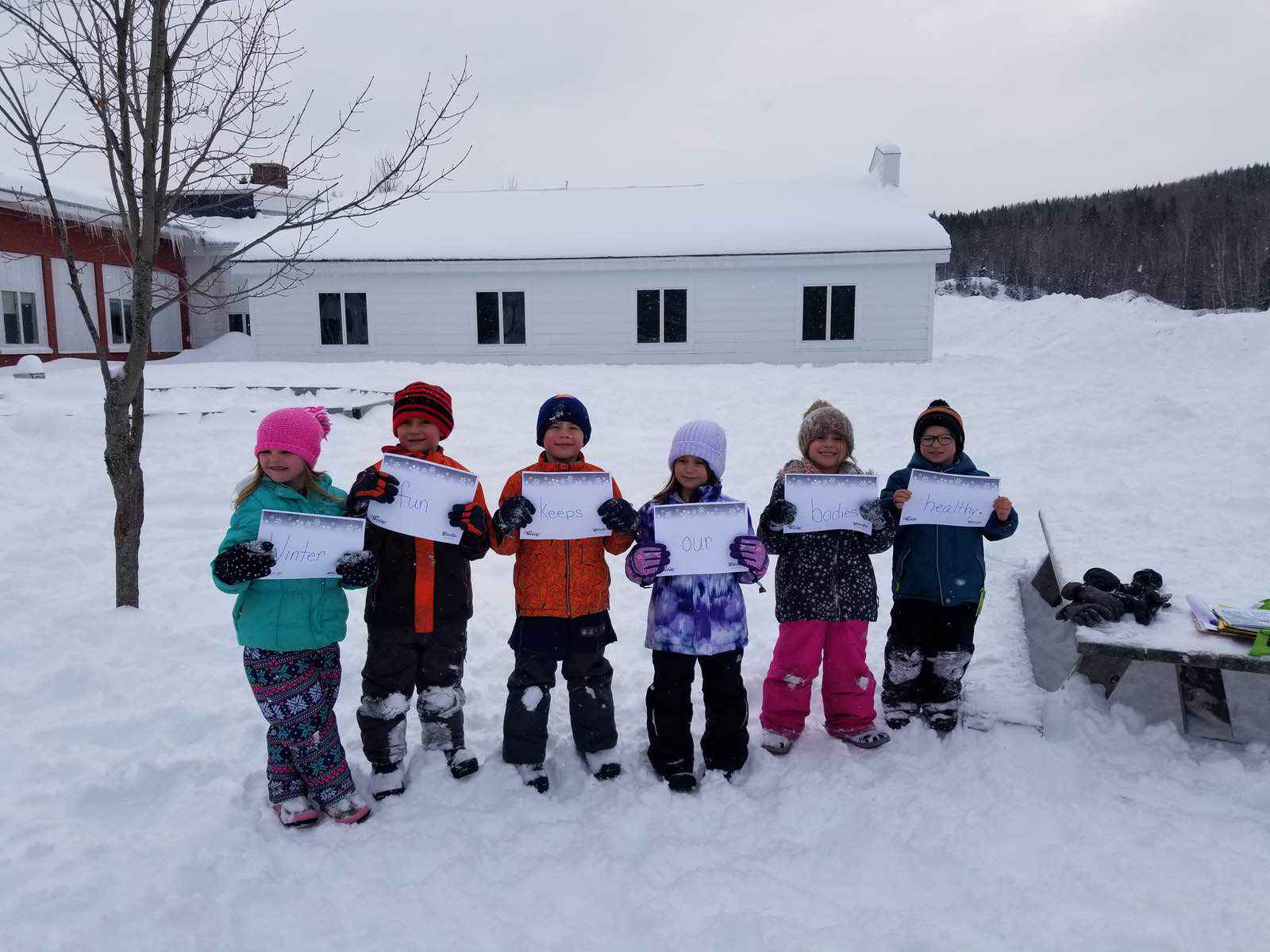 12 Ideas for Outdoor Winter Fun Dr Levesque 2019 Winter Games Week 1