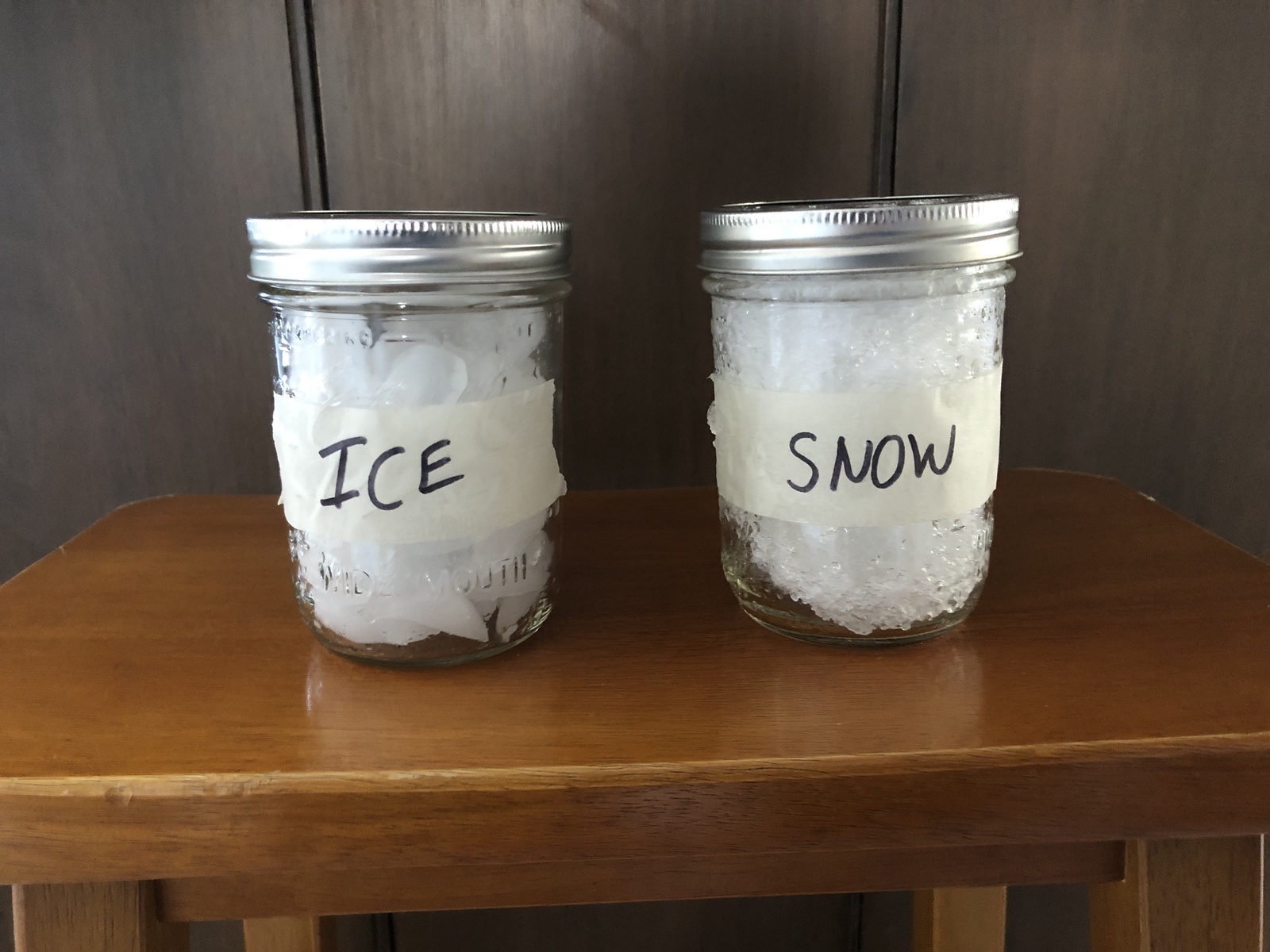 Melting Snow Ice Experiment WinterKids