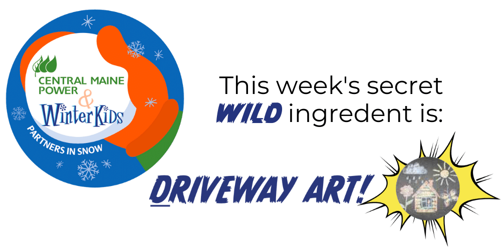 Secret Wild Ingredient DRIVEWAY ART 1