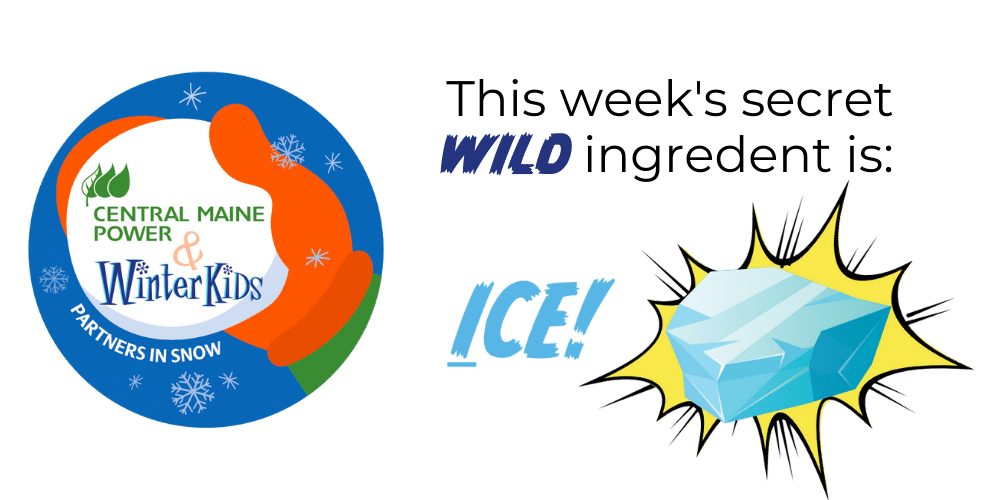 Secret Wild Ingredient ICE 2