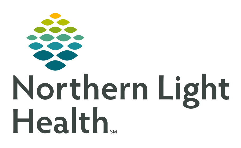 Northern Light Health Logo stacked web