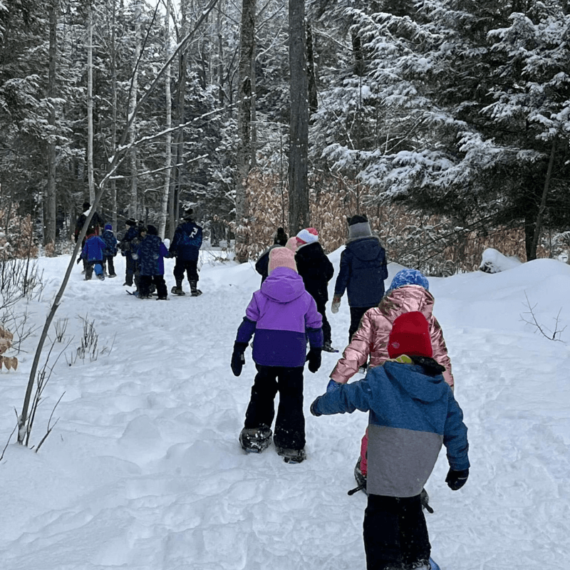 StoryWalk & Snowshoe 2