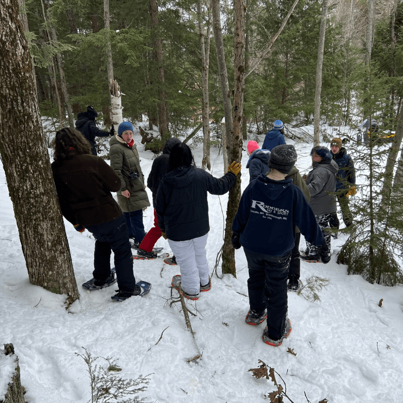 StoryWalk & Snowshoe 4