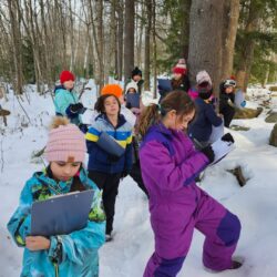 Harrison Elementary (Harrison Maine)