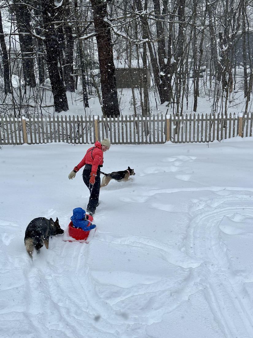 Courtney Holub sledding