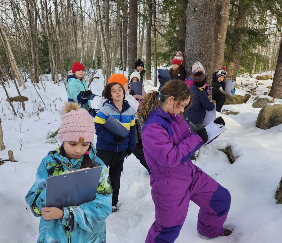 Cumberland County: Harrison Elementary School (Harrison, ME)