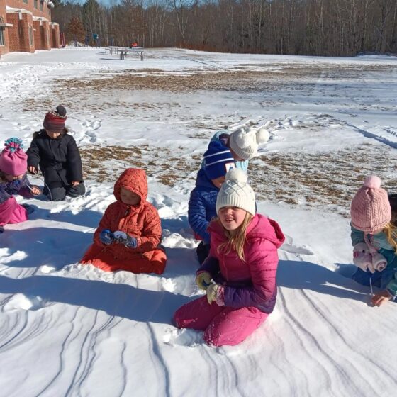 Hall Dale 150049 Winter Games Jan 2025 Play Along Track Large