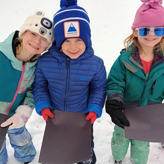 Hall Dale 150190 Winter Games Jan 2025 Play Along Track Large