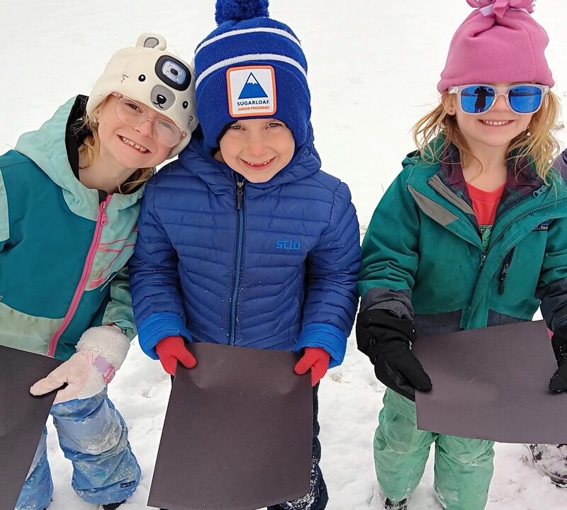 Hall Dale 150190 Winter Games Jan 2025 Play Along Track Large Hall Dale 150190 Winter Games Jan 2025 Play Along Track Large