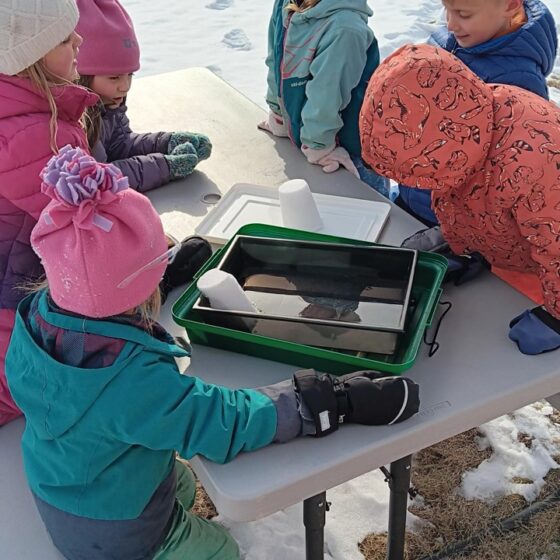 Hall Dale 150193 Winter Games Jan 2025 Play Along Track Large