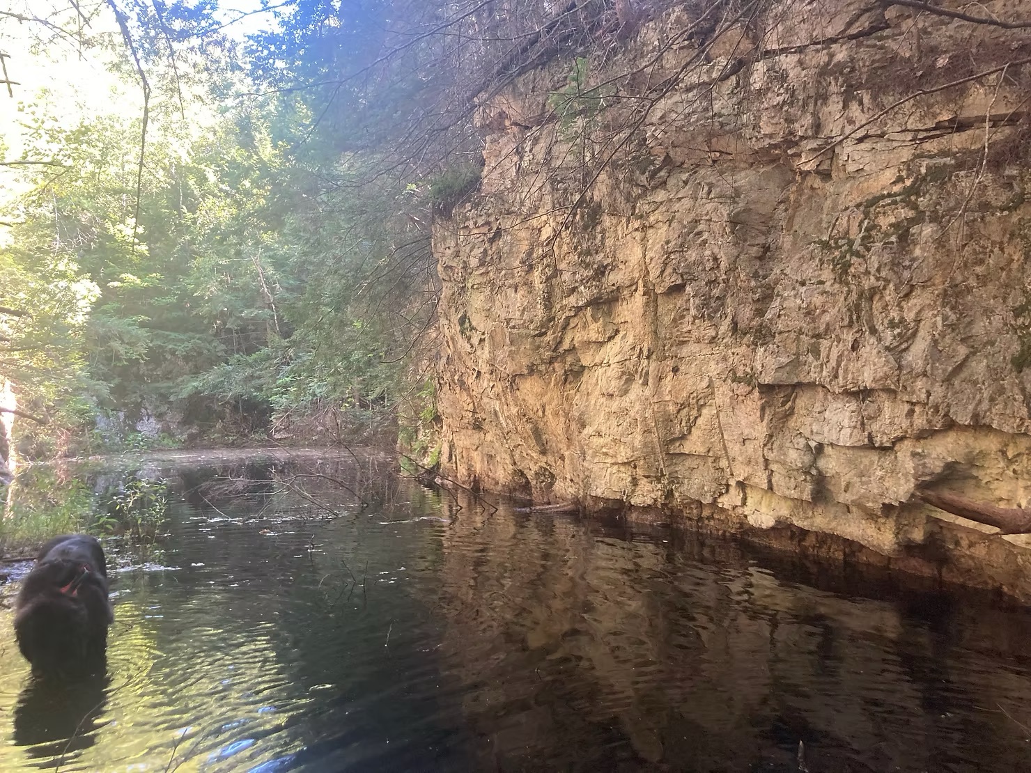 Tryon Mountain Outdoor Movement Project