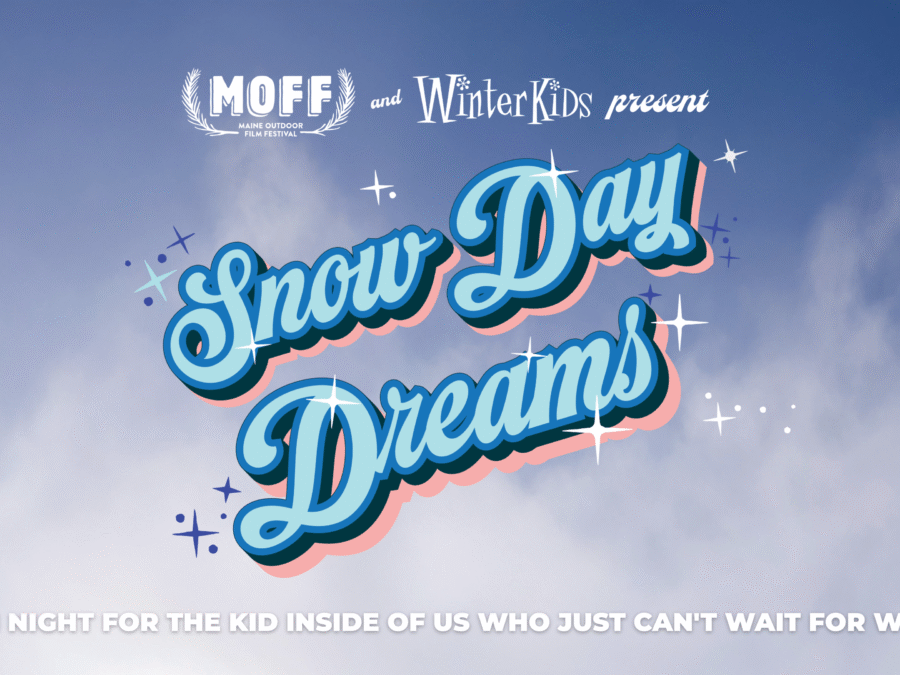 Snow Day Dreams FB Event Header