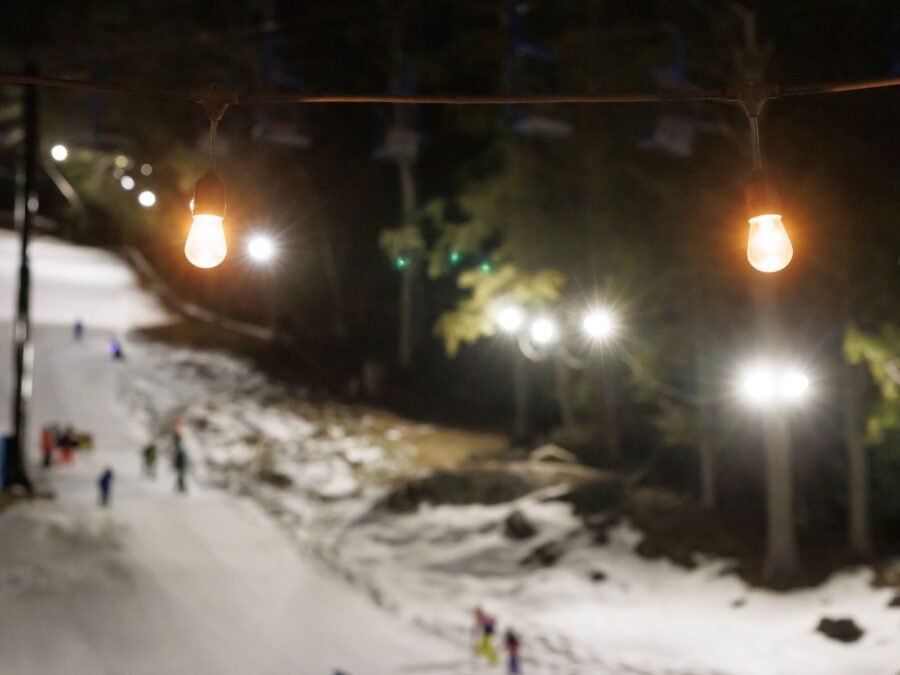 W2W Web BG 2025 SDP Photo (5)