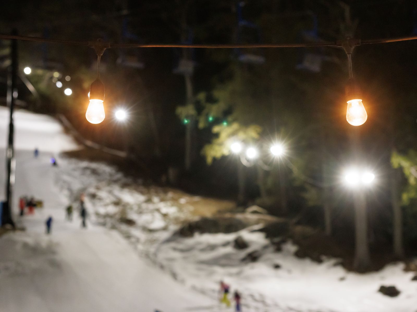 W2W Web BG 2025 SDP Photo (5)