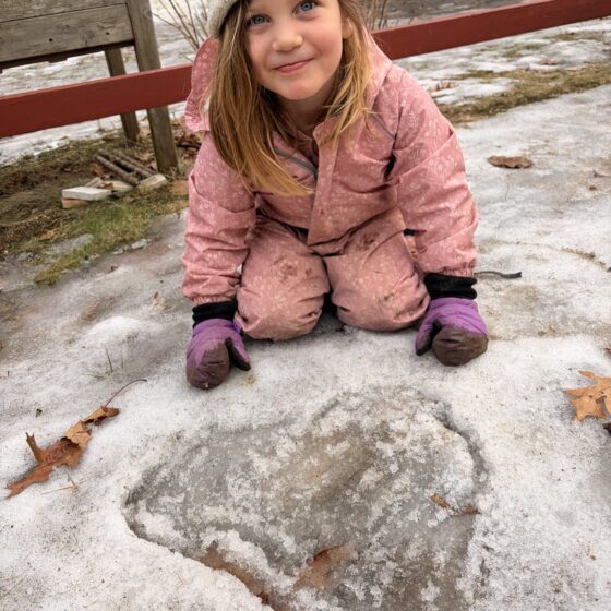 Laugh & Learn Katey Druan 17261